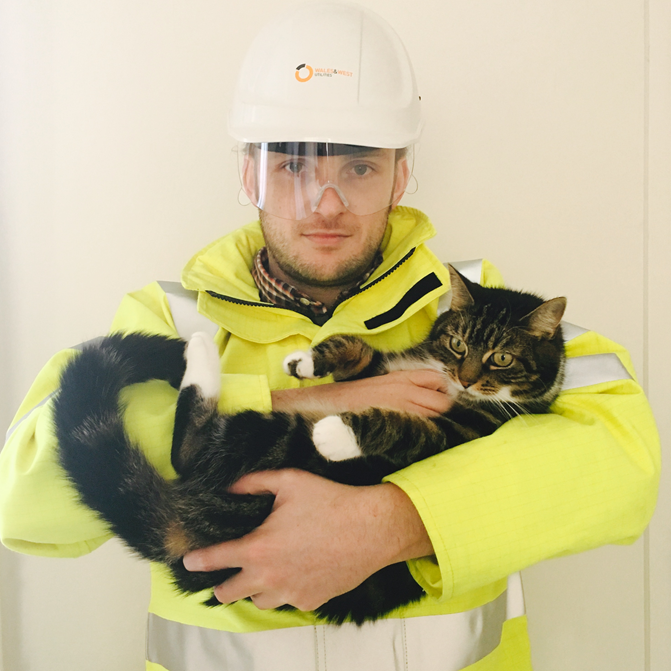 cat