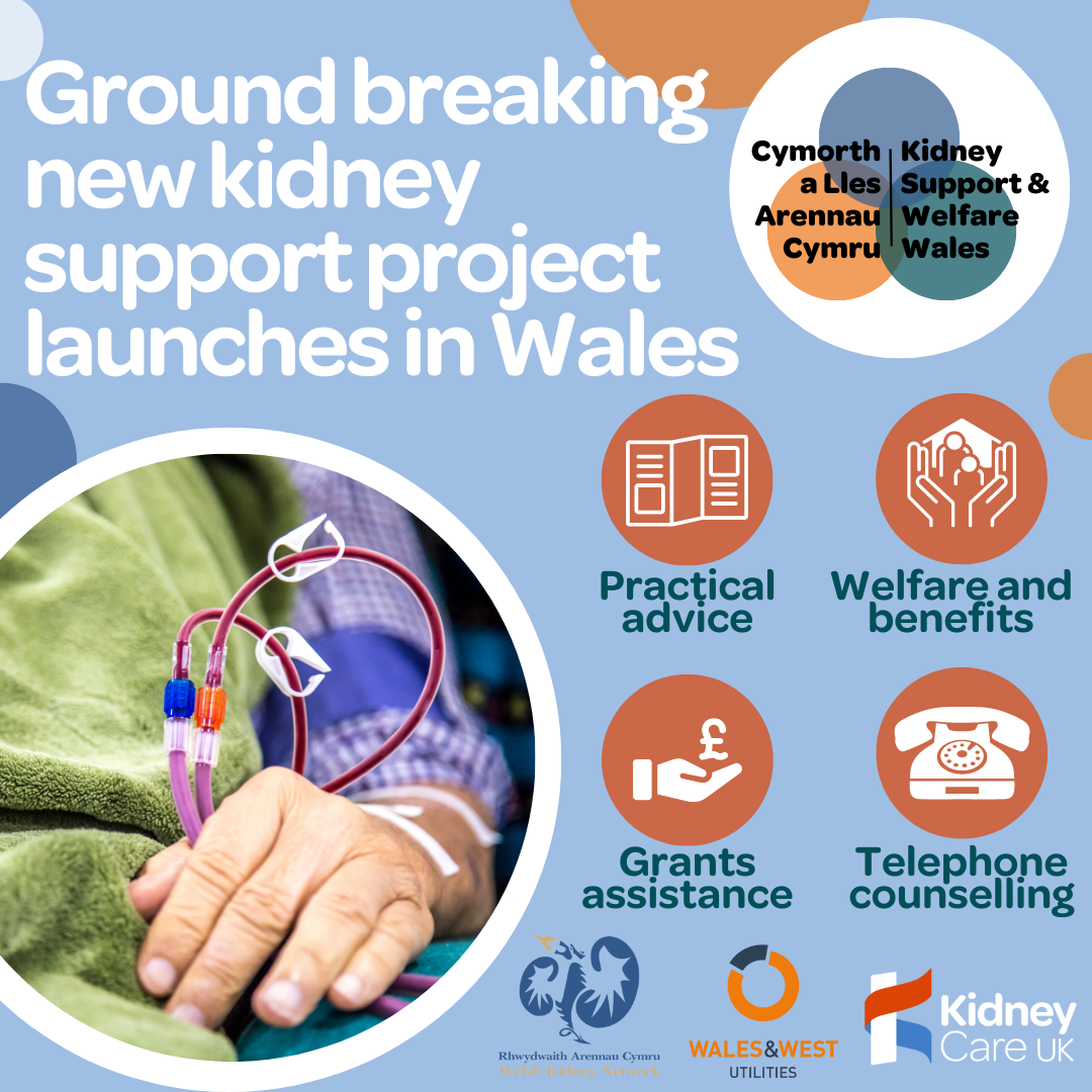 kidney support